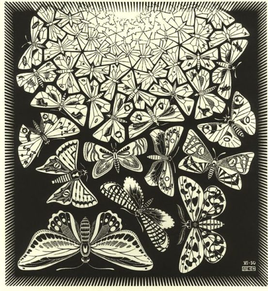 escher butterfies